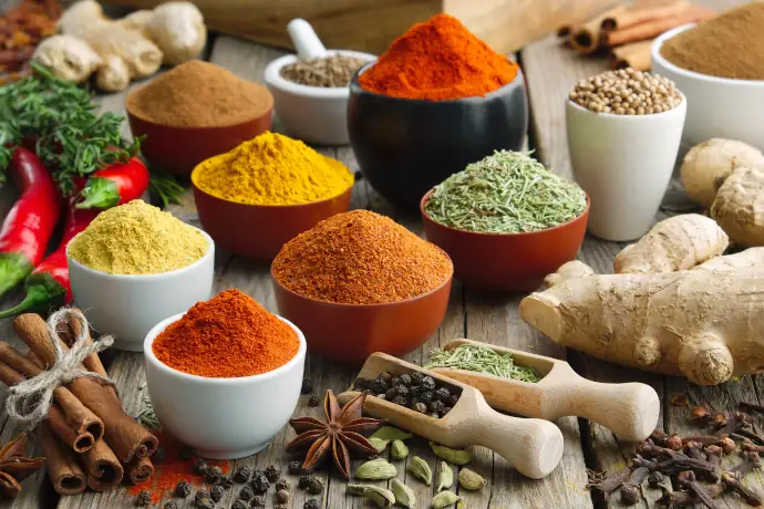 Fit Gesund Vital Ernährung